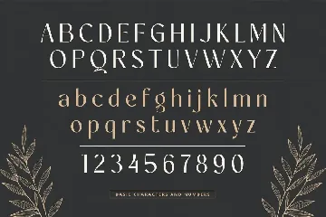 Modern Font