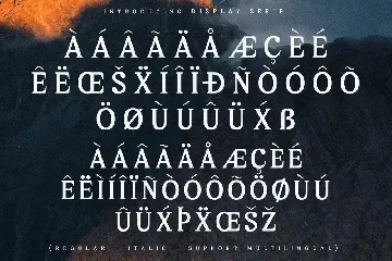 Melton Bronze Timeless Display Serif Font