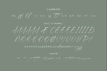 Rhastela Greams Modern Signature Font