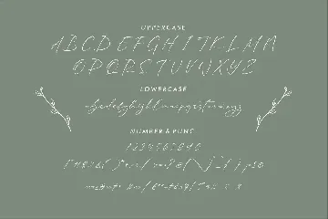 Rhastela Greams Modern Signature Font