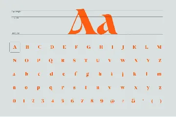 Avango Display Serif font