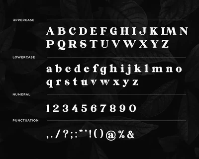 Galorine Serif Font