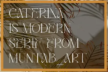 Caterina | Modern Stylish font