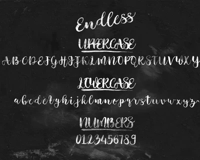 Endless Script font
