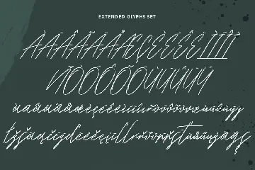 Arlo Carits Signature Font