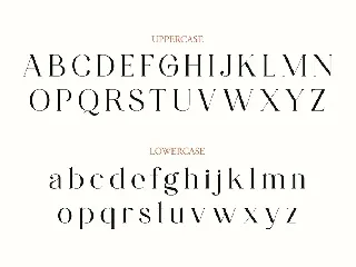 NCL Gastrub - Modern Elegant Ligature Serif Swash font