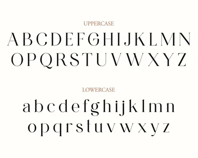 NCL Gastrub - Modern Elegant Ligature Serif Swash font