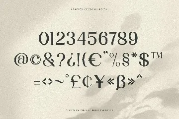 Partake | Modern Serif font