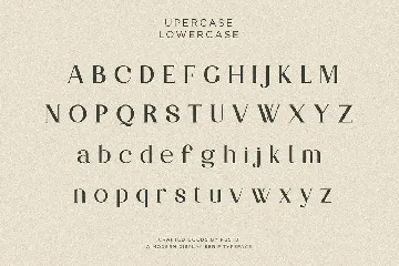 Partake | Modern Serif font