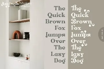 Aminah - Modern Retro Serif font