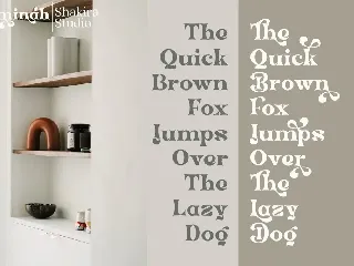 Aminah - Modern Retro Serif font