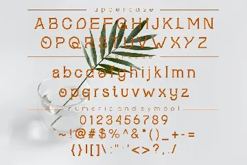 Labeeba modern serif font