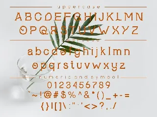 Labeeba modern serif font