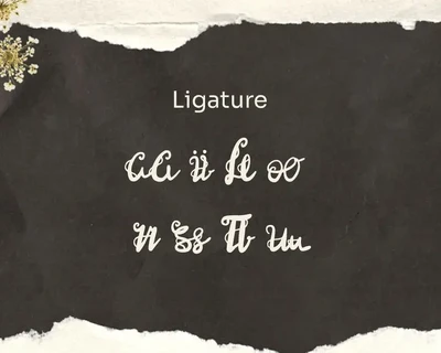 Caimellia - Script Signature Font