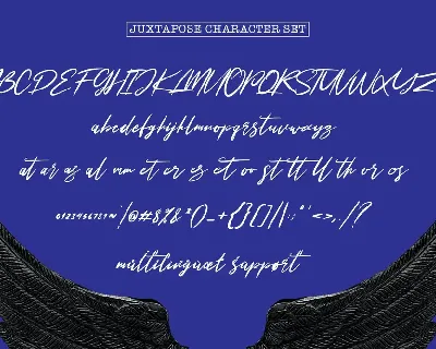 Juxtapose Script Font