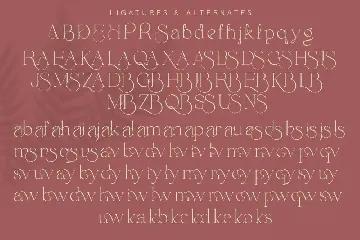 Envegas font