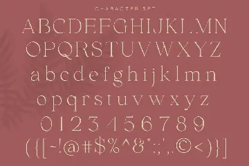 Envegas font