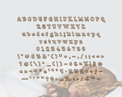 Sleeping Boss - Display Font
