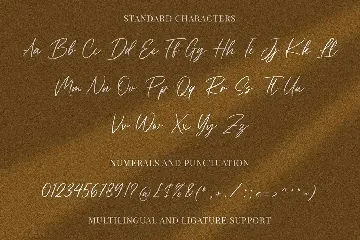 Handwritten Font