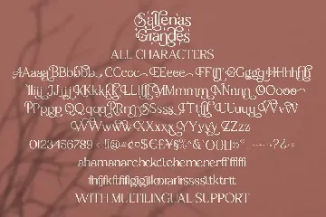 Sallenas Grandes|Elegant Serif Font