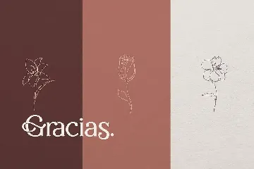 Sallenas Grandes|Elegant Serif Font