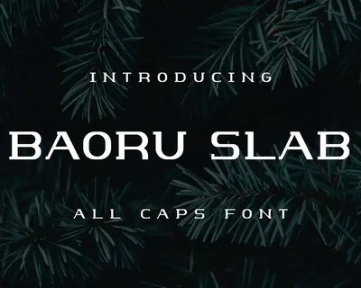 Baoru Slab font