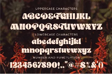 The Franky Dunkey font