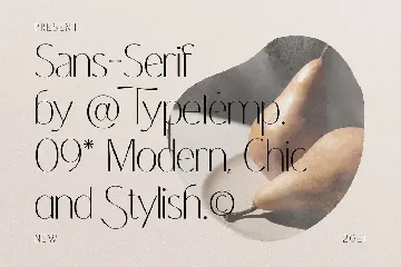Coastine â€“ Chic Modern Font