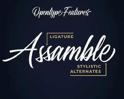 Standberg Script Font