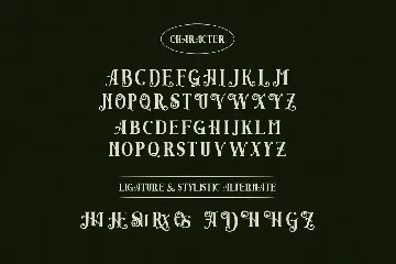 Angwie Serif Art Font