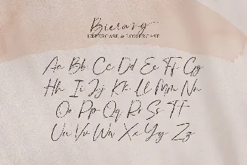 Bierang Signature Font
