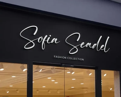 Ving Winston - Signature Font
