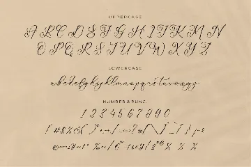 Mattrile Vintales Calligraphy Font