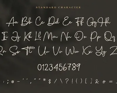 Charles Sebastian - Monoline Script Font