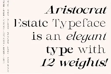 AristocratEstate - Luxury Serif Type font