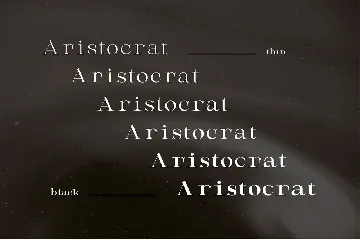 AristocratEstate - Luxury Serif Type font