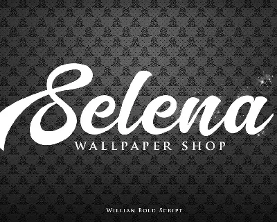 Willian Elegant Bold Script font