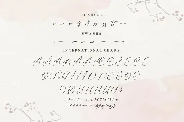 Alishia Erittha Modern Script Font