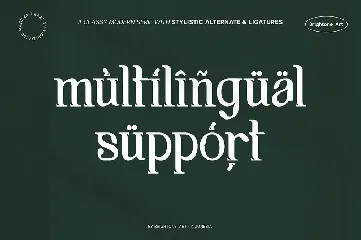 Arctiflow - Modern Serif font