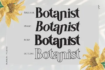 Botanist | Modern Serif font