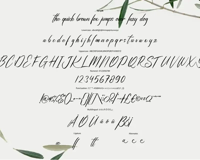 Qitamesa | Modern Script Font