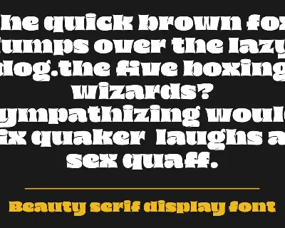 Kageb Bold â€“ Serif Display Font