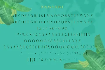 Banana Carolline font