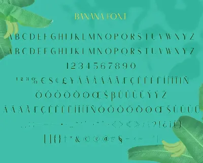 Banana Carolline font