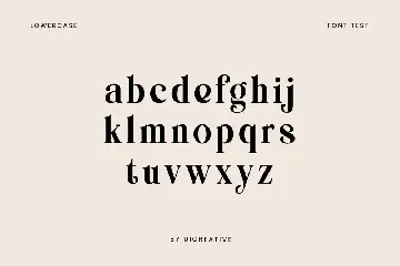 MANWARDS Modern Retro Serif Display Font