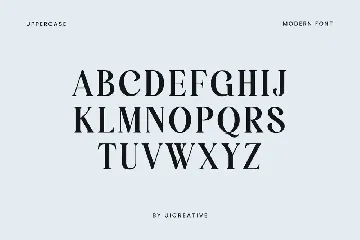 MANWARDS Modern Retro Serif Display Font