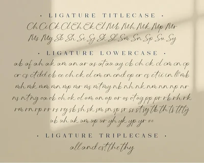 Manfollo Modern Script font
