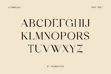 Galabiyah Modern Retro Serif Display Font