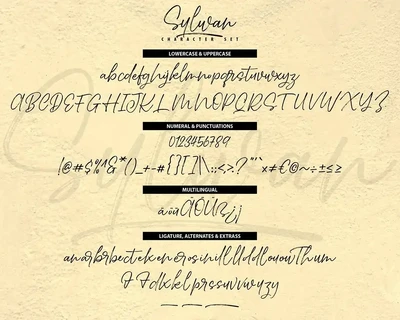 Sylwan | Unique Drybrush Handwriting Script font