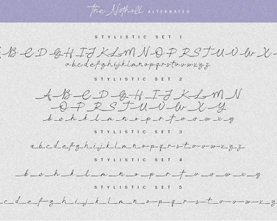 The Notholl Script font